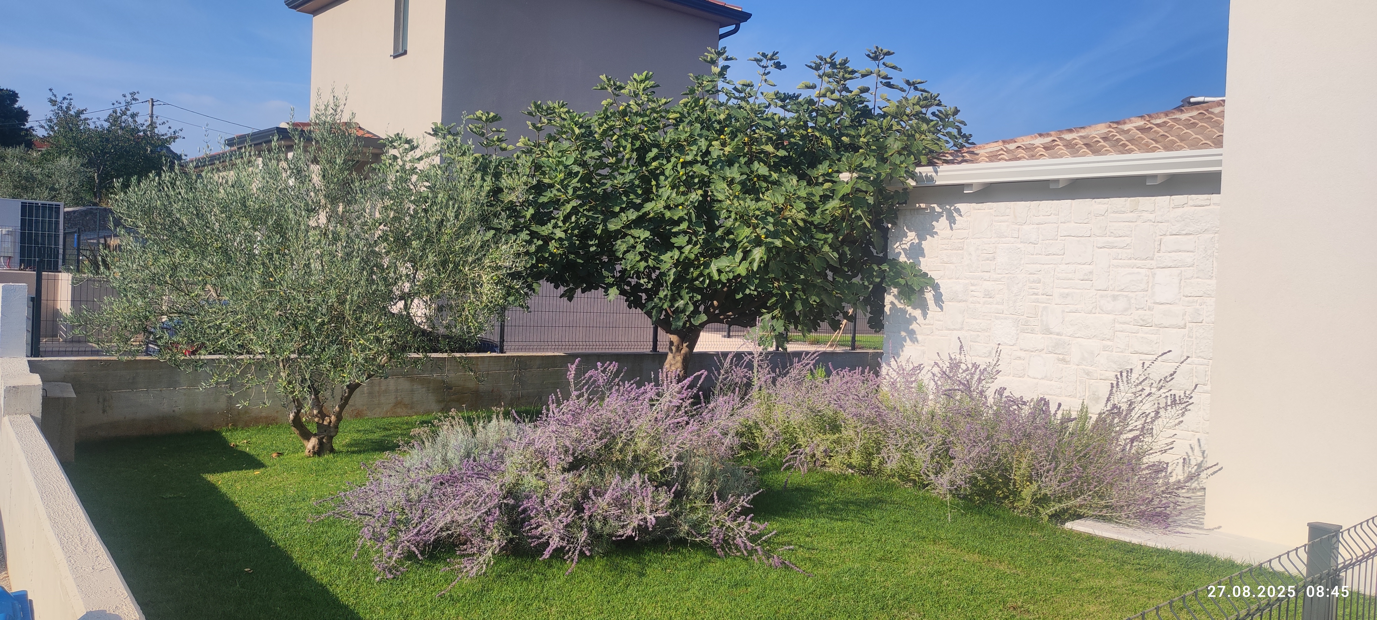 Villa Luni Garten